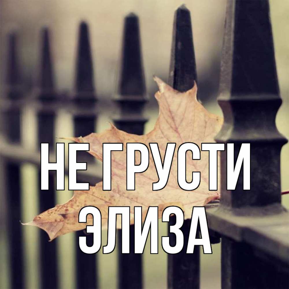 Открытка на каждый день с именем, Элиза Не грусти лист клена Прикольная открытка с пожеланием онлайн скачать бесплатно 