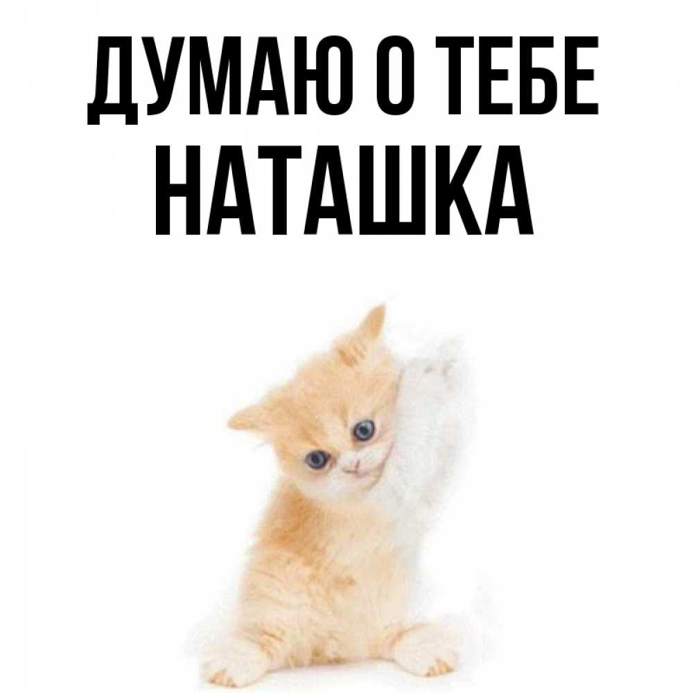 Картинки наташка ты где