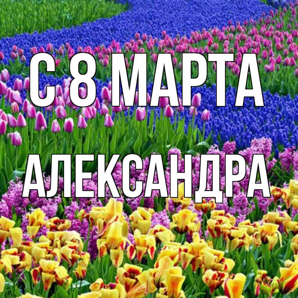Открытка на каждый день с именем, Александра С 8 МАРТА цветы Прикольная открытка с пожеланием онлайн скачать бесплатно 