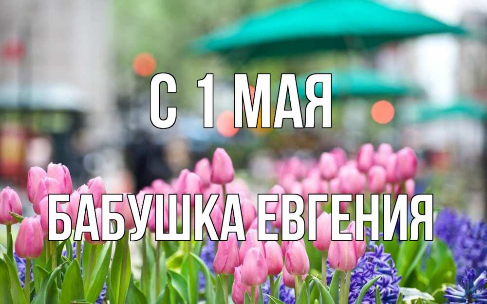 Открытка на каждый день с именем, Бабушка-Евгения С 1 мая С 1 мая Прикольная открытка с пожеланием онлайн скачать бесплатно 