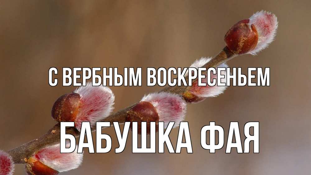 Открытка на каждый день с именем, Бабушка-Фая С вербным воскресеньем верба Прикольная открытка с пожеланием онлайн скачать бесплатно 
