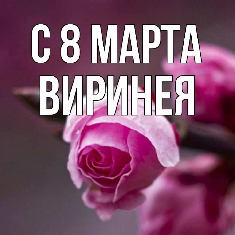 Открытка на каждый день с именем, Виринея С 8 МАРТА весна Прикольная открытка с пожеланием онлайн скачать бесплатно 