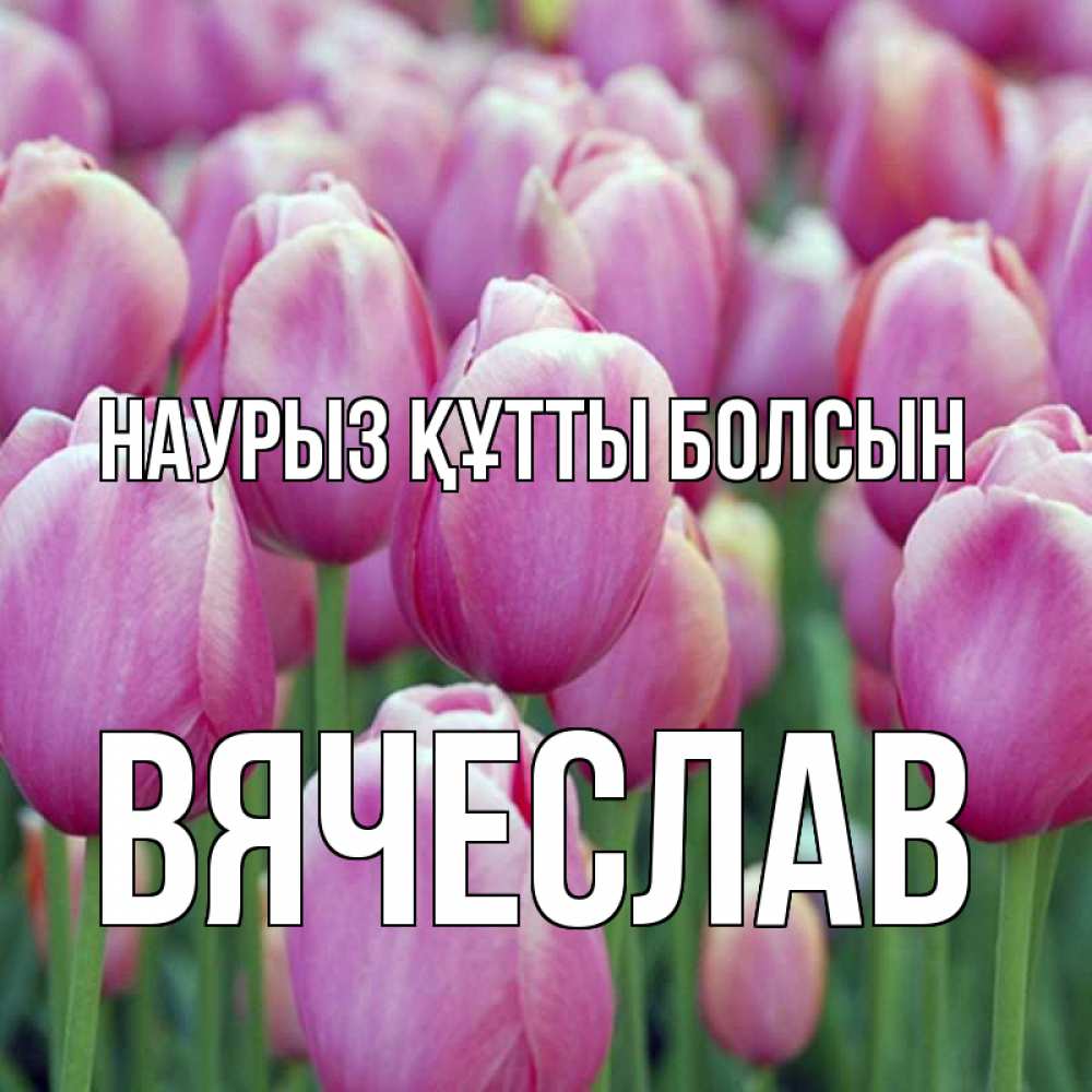 Открытка на каждый день с именем, Вячеслав Наурыз құтты болсын на наурыз  день 3 Прикольная открытка с пожеланием онлайн скачать бесплатно 