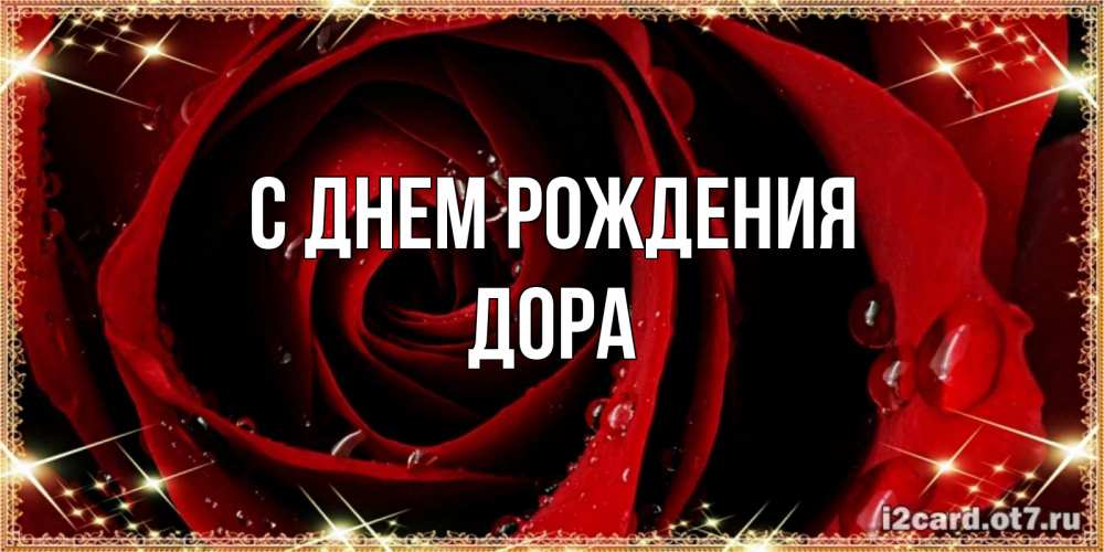 Открытка на каждый день с именем, Дора С днем рождения цветок в росе на день рождения Прикольная открытка с пожеланием онлайн скачать бесплатно 