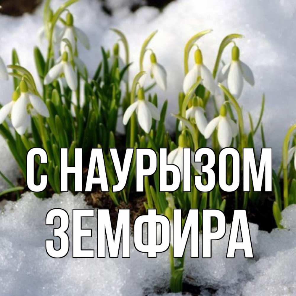 Открытка на каждый день с именем, Земфира С наурызом цветы весенние Прикольная открытка с пожеланием онлайн скачать бесплатно 