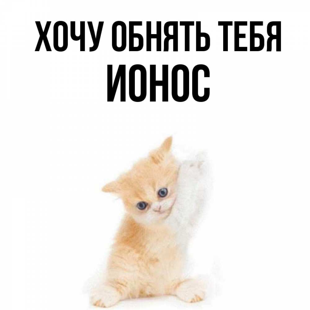 Открытка на каждый день с именем, Ионос Хочу обнять тебя я хочу очень скорее обнимаешек Прикольная открытка с пожеланием онлайн скачать бесплатно 
