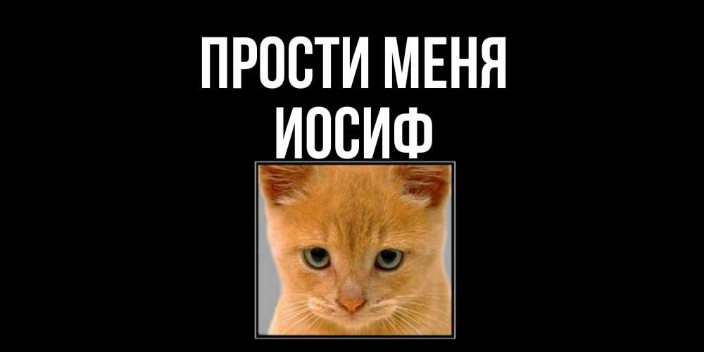 Открытка на каждый день с именем, Иосиф Прости меня рыжий грустный кот просит прощения Прикольная открытка с пожеланием онлайн скачать бесплатно 