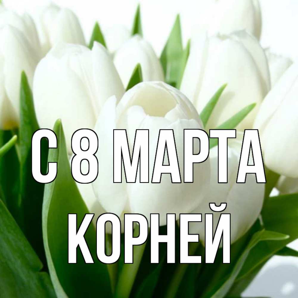 Открытка на каждый день с именем, Корней С 8 марта цветы Прикольная открытка с пожеланием онлайн скачать бесплатно 