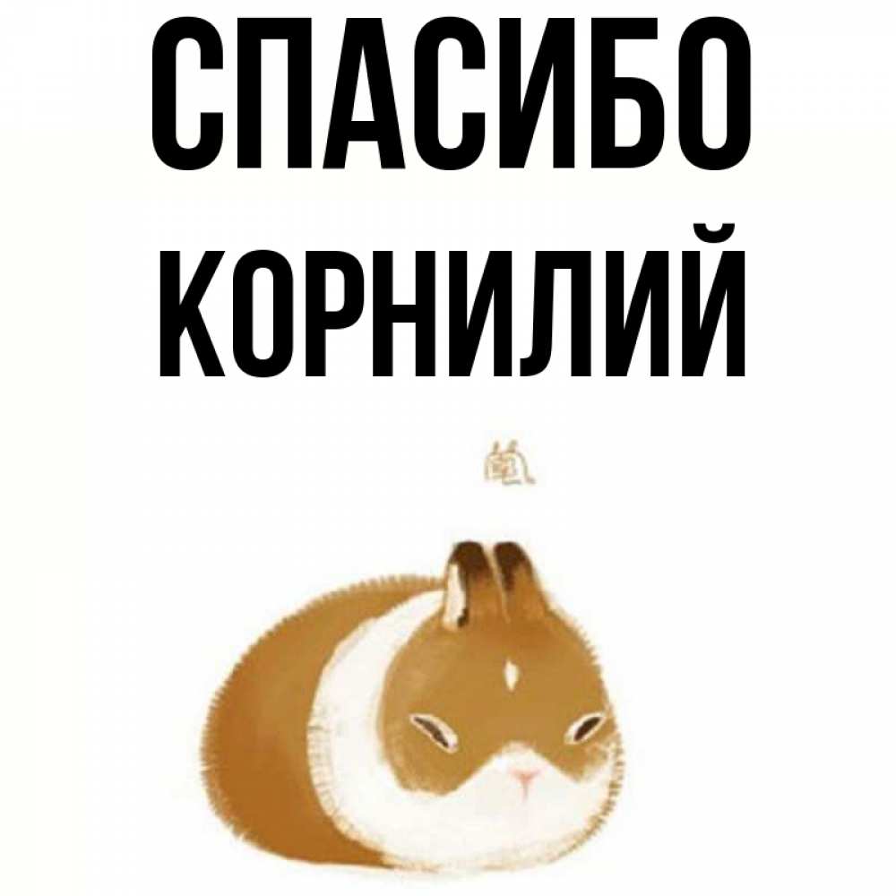 Открытка на каждый день с именем, Корнилий Спасибо коричнево белый домашний питомец Прикольная открытка с пожеланием онлайн скачать бесплатно 