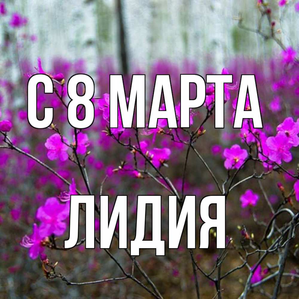 Открытка на каждый день с именем, Лидия С 8 МАРТА дикие цветы Прикольная открытка с пожеланием онлайн скачать бесплатно 