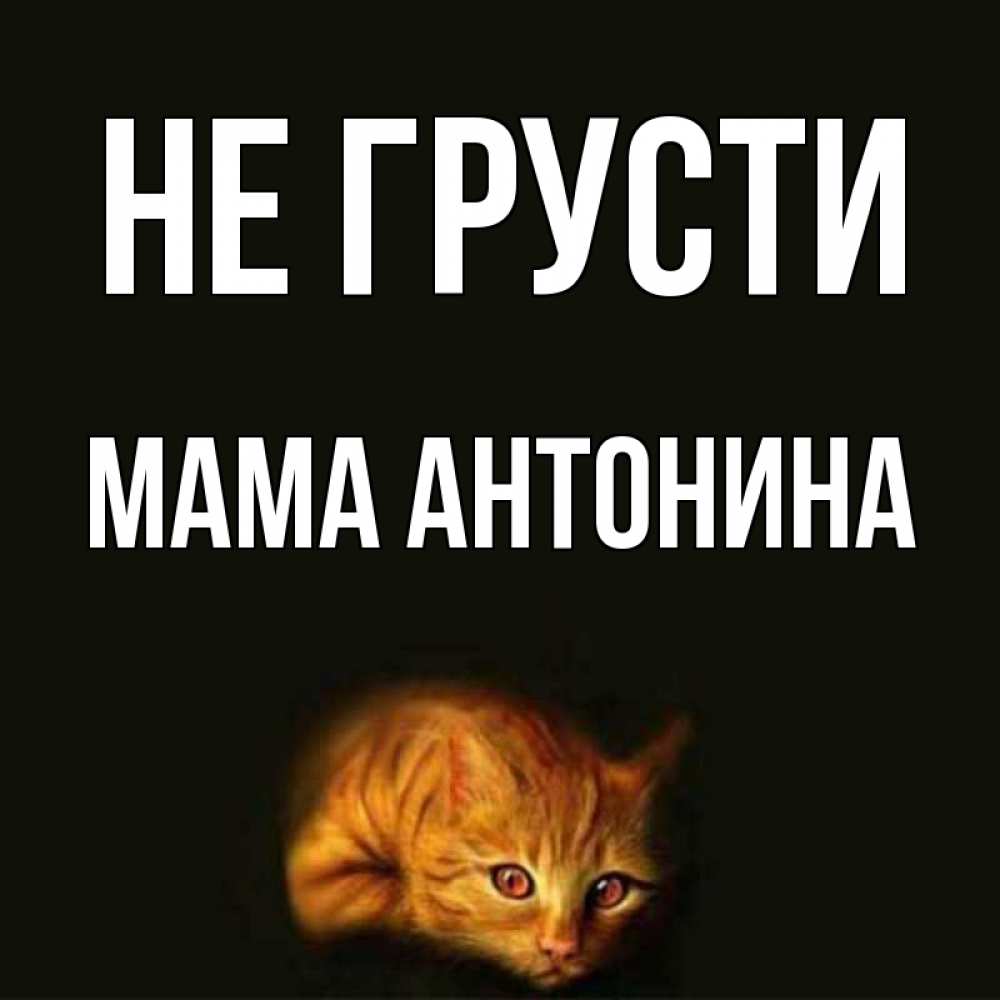 Открытка на каждый день с именем, Мама-Антонина Не грусти лежащий кот в темноте Прикольная открытка с пожеланием онлайн скачать бесплатно 