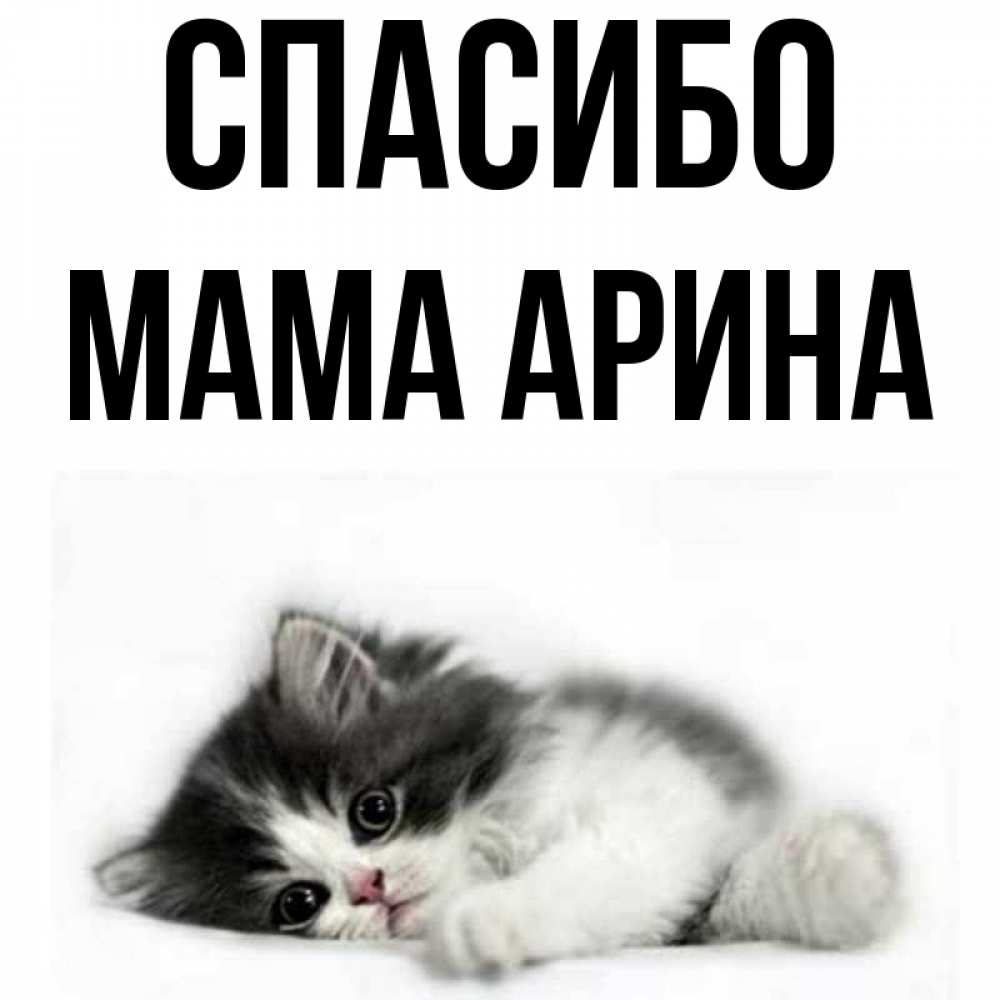 Открытка на каждый день с именем, Мама-Арина Спасибо черный и белый кот Прикольная открытка с пожеланием онлайн скачать бесплатно 