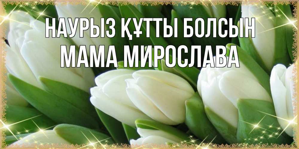 Открытка на каждый день с именем, Мама-Мирослава Наурыз құтты болсын поздравляем с наурызом Прикольная открытка с пожеланием онлайн скачать бесплатно 