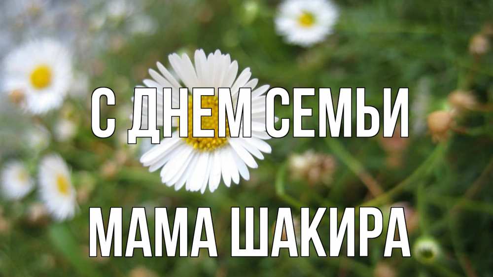 Открытка на каждый день с именем, Мама-Шакира С днем семьи с днем семьи Прикольная открытка с пожеланием онлайн скачать бесплатно 