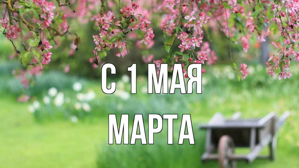 Открытка на каждый день с именем, Марта С 1 мая С 1 мая Прикольная открытка с пожеланием онлайн скачать бесплатно 