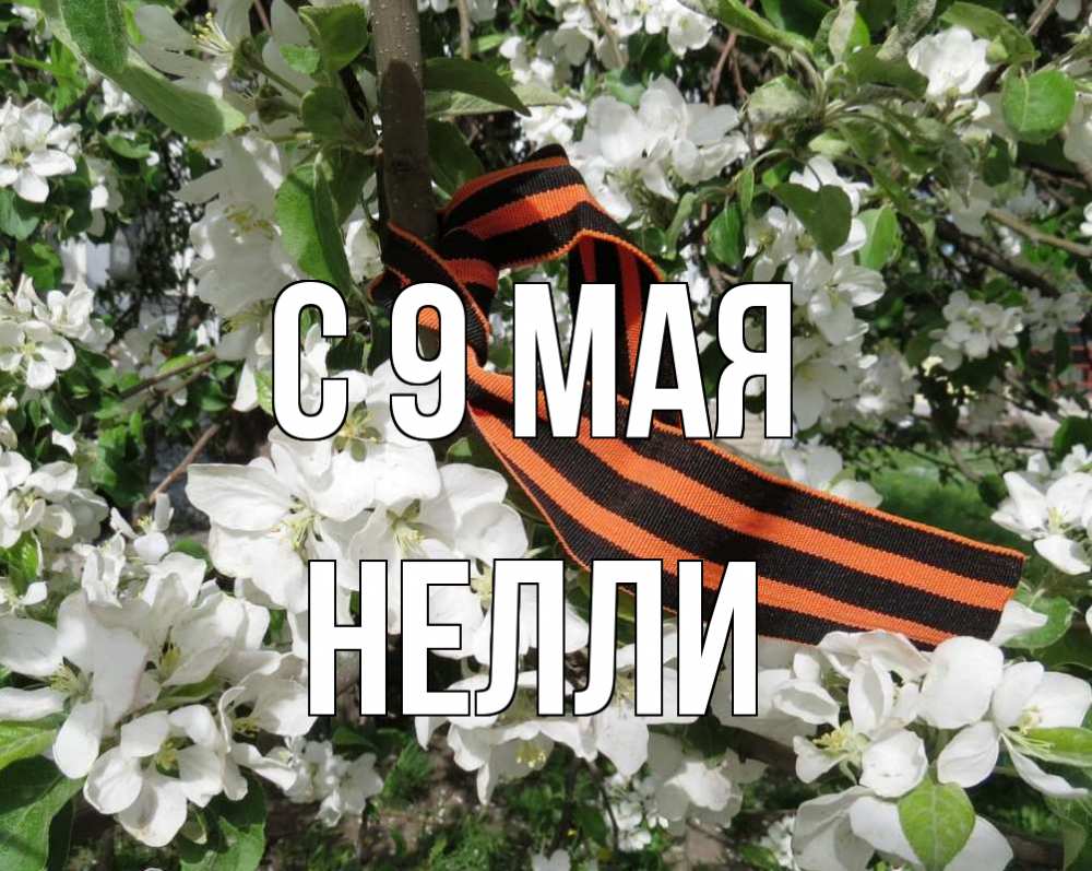 Открытка на каждый день с именем, Нелли С 9 мая 9 мая Прикольная открытка с пожеланием онлайн скачать бесплатно 