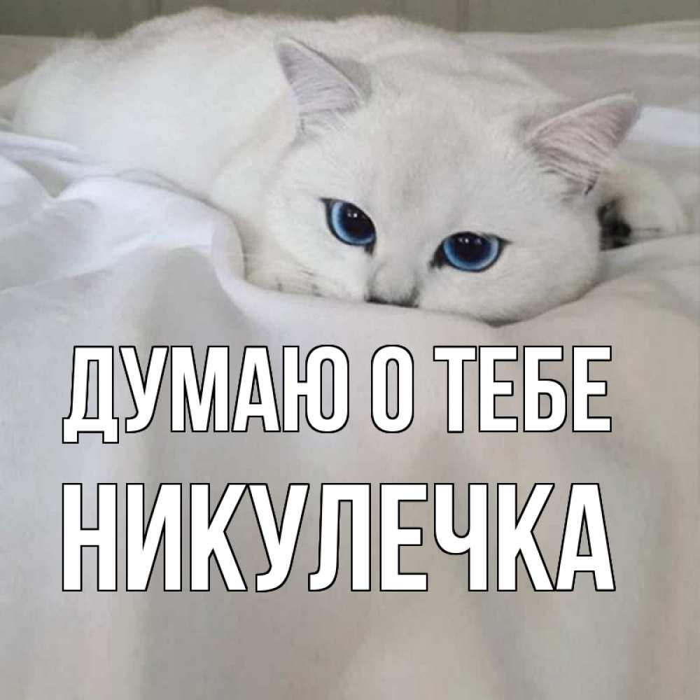 Открытка на каждый день с именем, Никулечка Думаю о тебе я очень по тебе скучаю и тоскую Прикольная открытка с пожеланием онлайн скачать бесплатно 