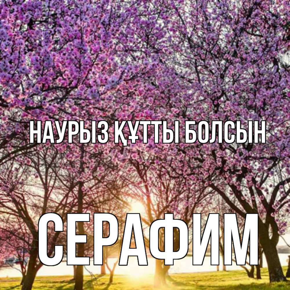 Открытка на каждый день с именем, Серафим Наурыз құтты болсын наурыз Прикольная открытка с пожеланием онлайн скачать бесплатно 