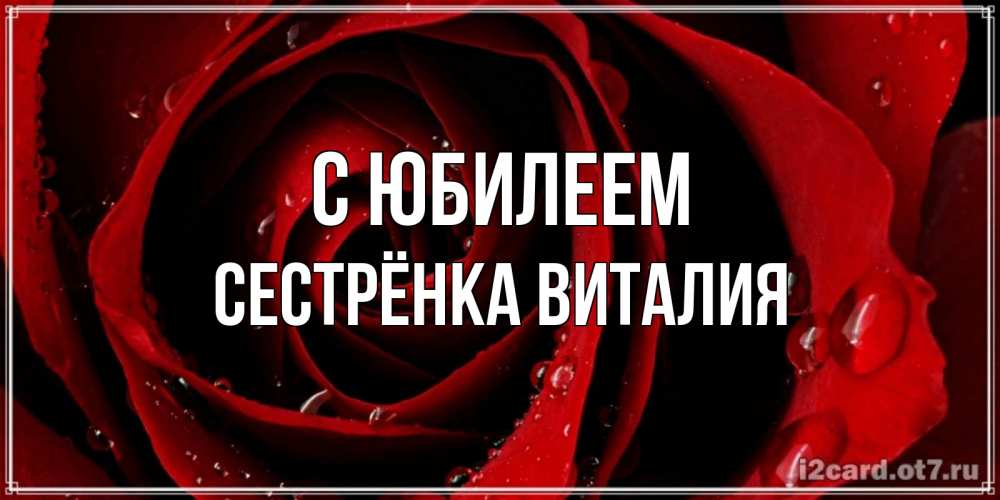 Открытка на каждый день с именем, Сестрёнка-Виталия С юбилеем крупная бордовая роза Прикольная открытка с пожеланием онлайн скачать бесплатно 