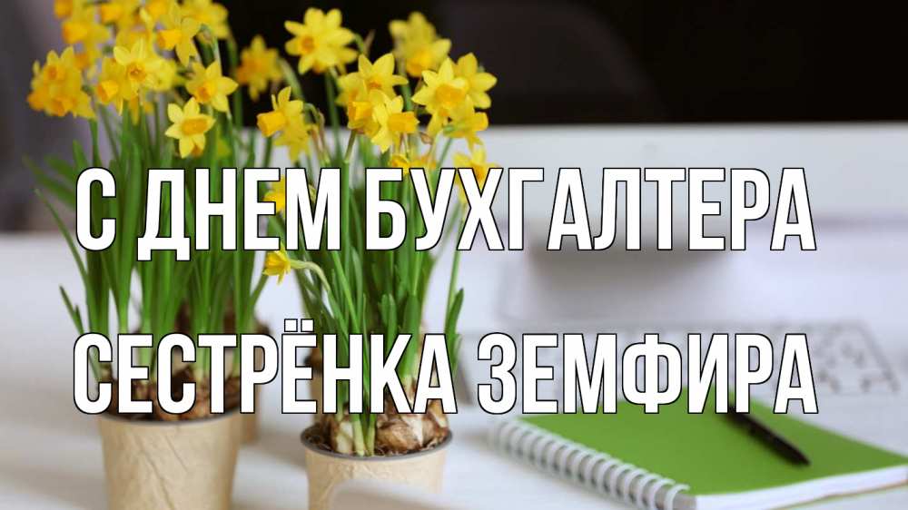 Открытка на каждый день с именем, Сестрёнка-Земфира С днем бухгалтера с днем бухгалтера Прикольная открытка с пожеланием онлайн скачать бесплатно 
