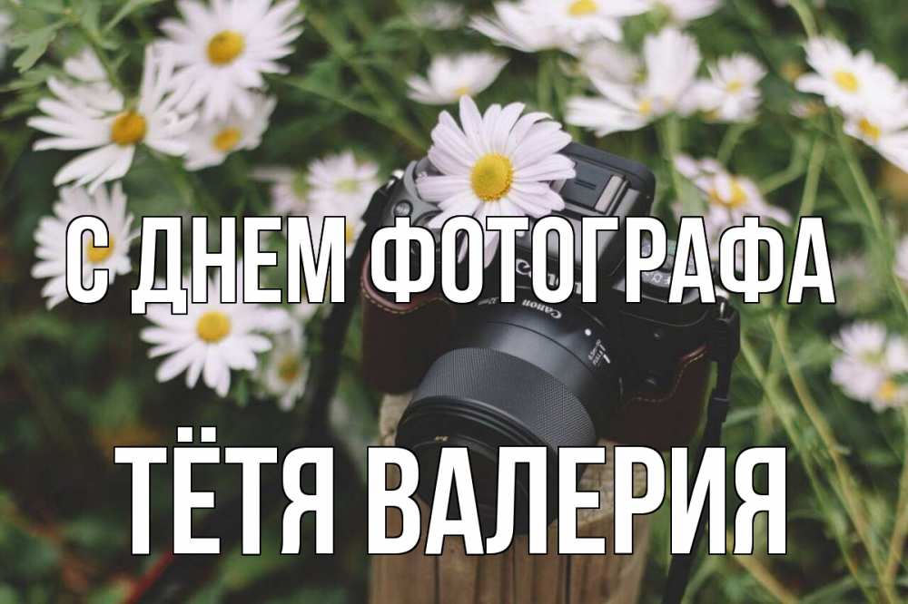 Открытка на каждый день с именем, Тётя-Валерия С днем фотографа с днем фотографа Прикольная открытка с пожеланием онлайн скачать бесплатно 
