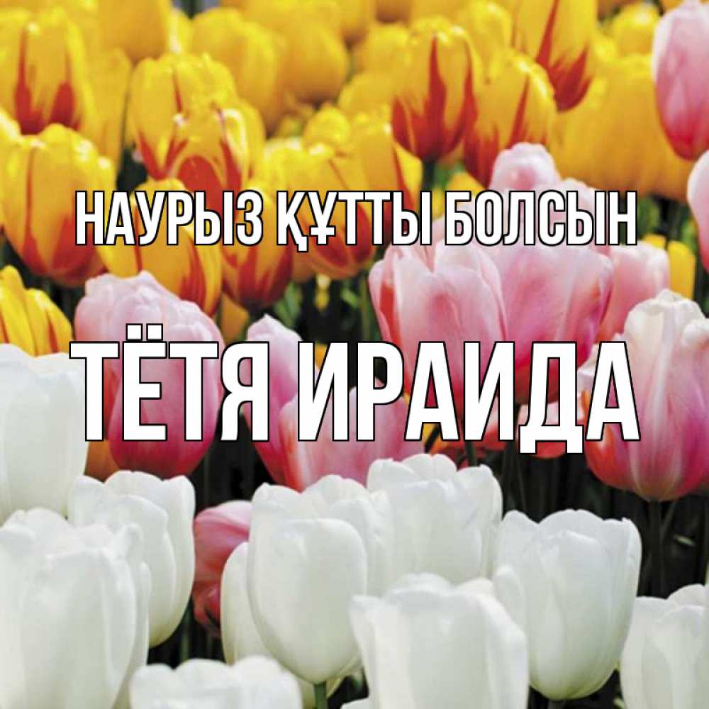 Открытка на каждый день с именем, Тётя-Ираида Наурыз құтты болсын разноцветные цветы Прикольная открытка с пожеланием онлайн скачать бесплатно 