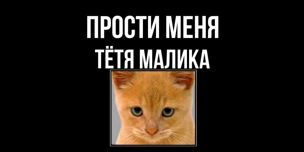 Открытка на каждый день с именем, Тётя-Малика Прости меня рыжий грустный кот просит прощения Прикольная открытка с пожеланием онлайн скачать бесплатно 