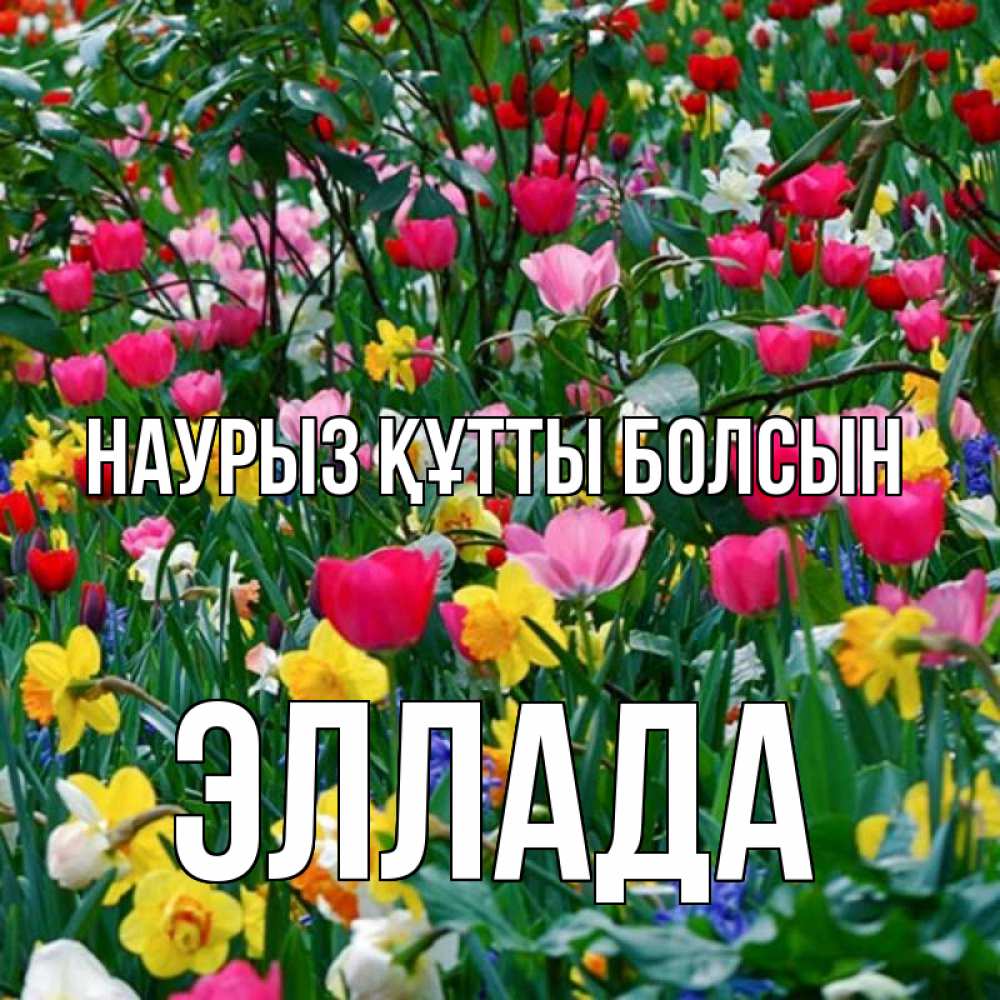 Открытка на каждый день с именем, Эллада Наурыз құтты болсын с наурызом поздравления для женщины Прикольная открытка с пожеланием онлайн скачать бесплатно 