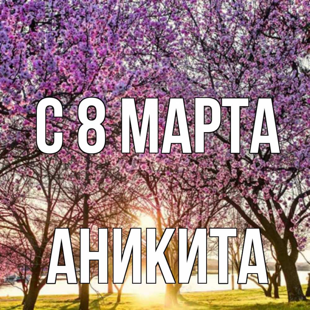 Открытка на каждый день с именем, Аникита С 8 марта международный женский день Прикольная открытка с пожеланием онлайн скачать бесплатно 