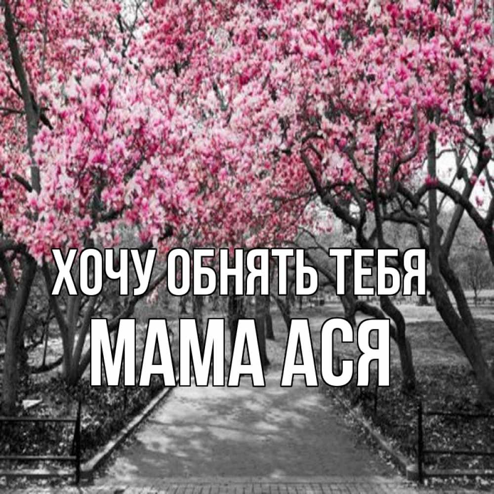 Открытка на каждый день с именем, Мама-Ася Хочу обнять тебя обработанное фото Прикольная открытка с пожеланием онлайн скачать бесплатно 