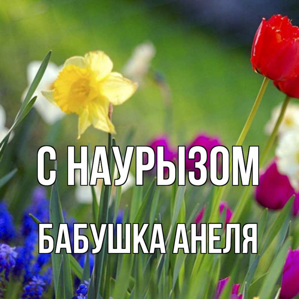Открытка на каждый день с именем, Бабушка-Анеля С наурызом праздник весны наурыз 3 Прикольная открытка с пожеланием онлайн скачать бесплатно 