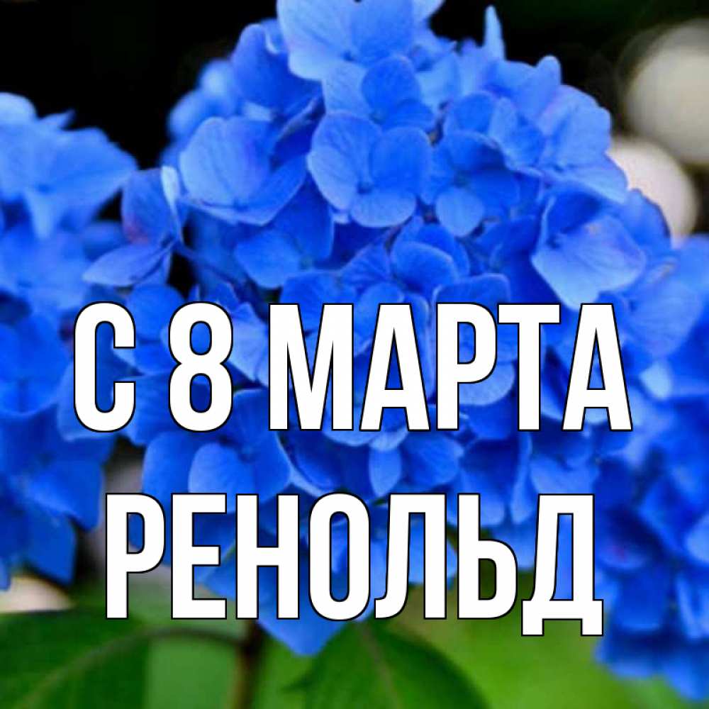 Открытка на каждый день с именем, Ренольд С 8 МАРТА синие цветы Прикольная открытка с пожеланием онлайн скачать бесплатно 