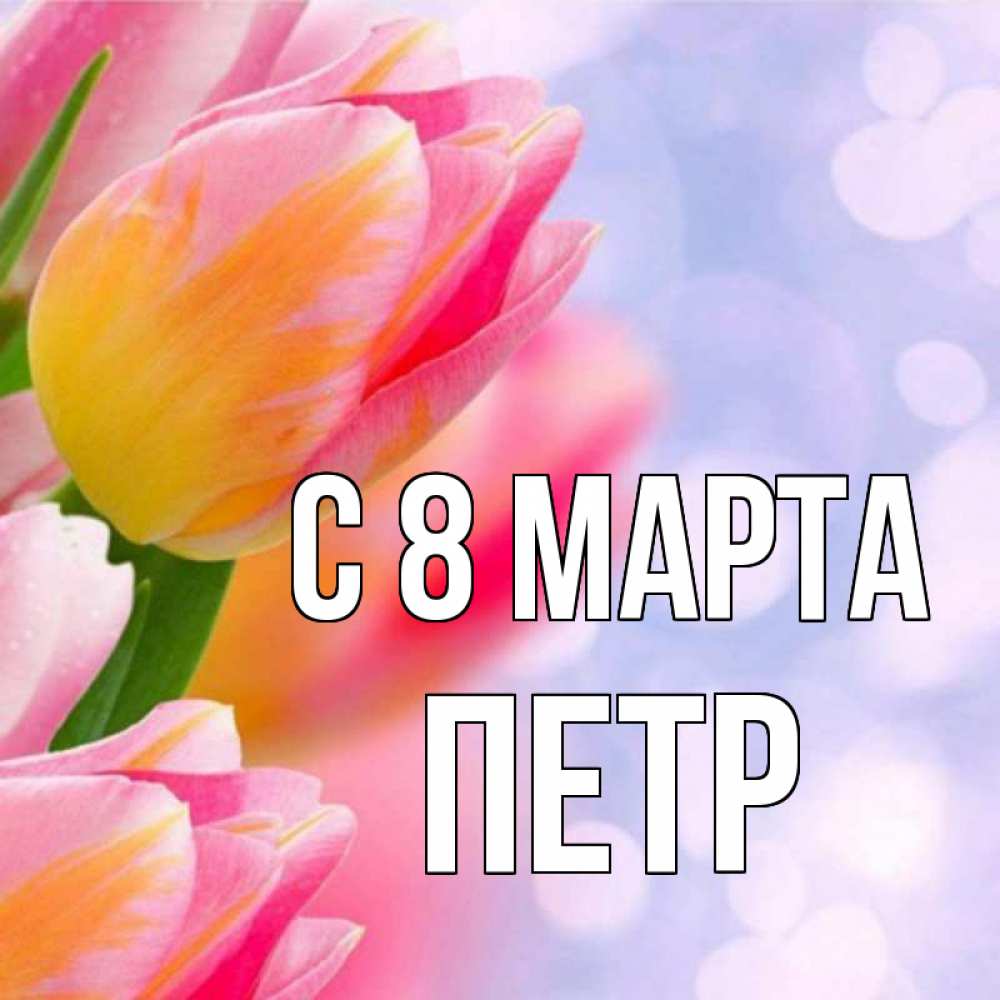 Открытка на каждый день с именем, Петр С 8 МАРТА тюльпаны 2 Прикольная открытка с пожеланием онлайн скачать бесплатно 