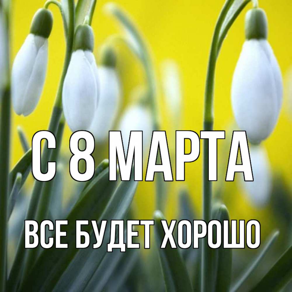 Открытка на каждый день с именем, Все-будет-хорошо С 8 МАРТА весенние цветы Прикольная открытка с пожеланием онлайн скачать бесплатно 