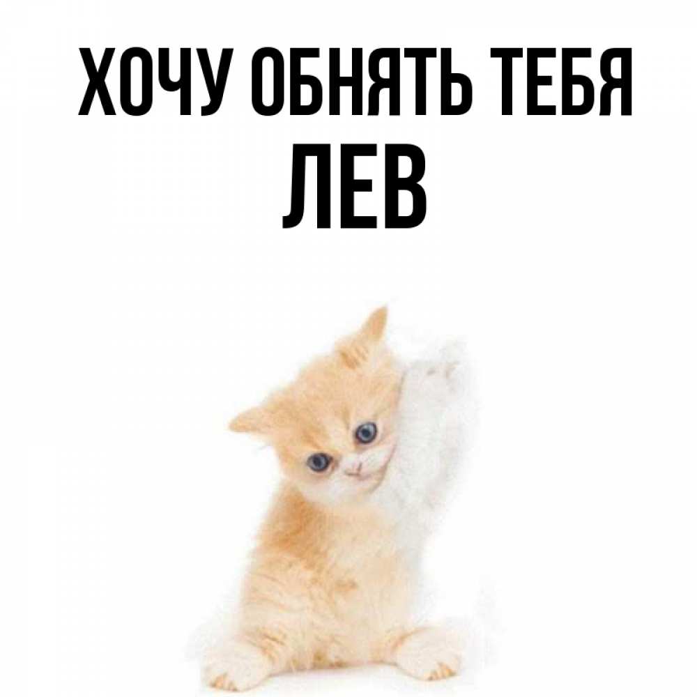 Хотите левы