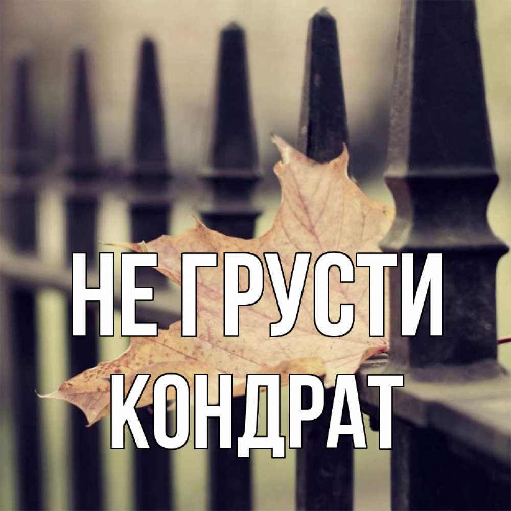 Открытка на каждый день с именем, Кондрат Не грусти лист клена Прикольная открытка с пожеланием онлайн скачать бесплатно 
