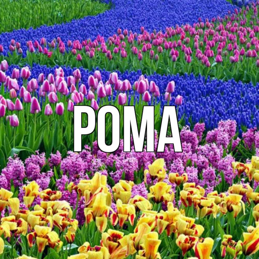 Открытка на каждый день с именем, Рома Главная цветы Прикольная открытка с пожеланием онлайн скачать бесплатно 