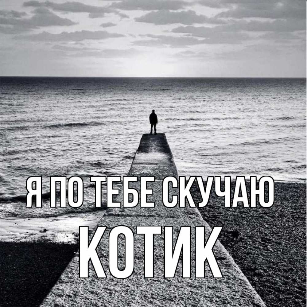 Открытка на каждый день с именем, Котик Я по тебе скучаю скучашки Прикольная открытка с пожеланием онлайн скачать бесплатно 