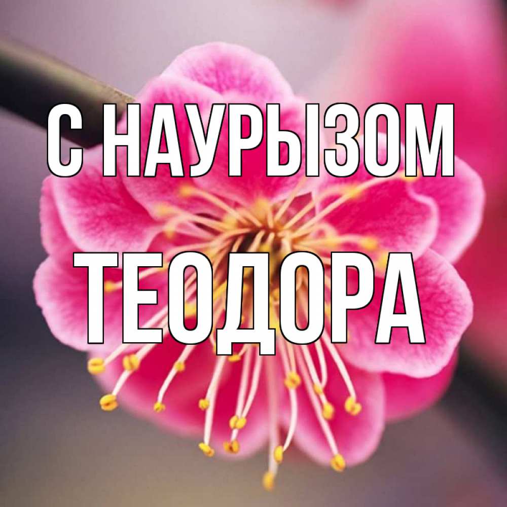 Открытка на каждый день с именем, Теодора С наурызом цветы Прикольная открытка с пожеланием онлайн скачать бесплатно 