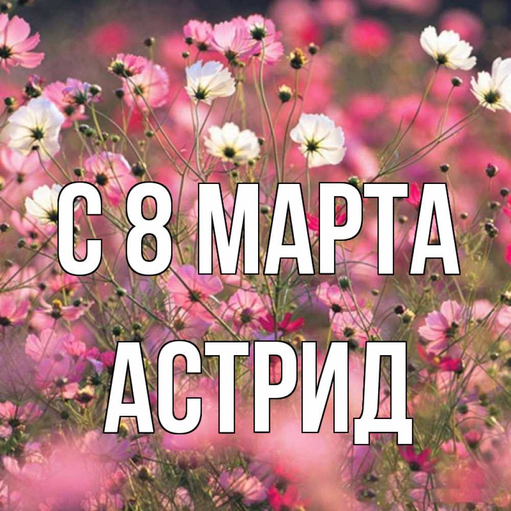 Открытка на каждый день с именем, Астрид С 8 марта красиво 1 Прикольная открытка с пожеланием онлайн скачать бесплатно 