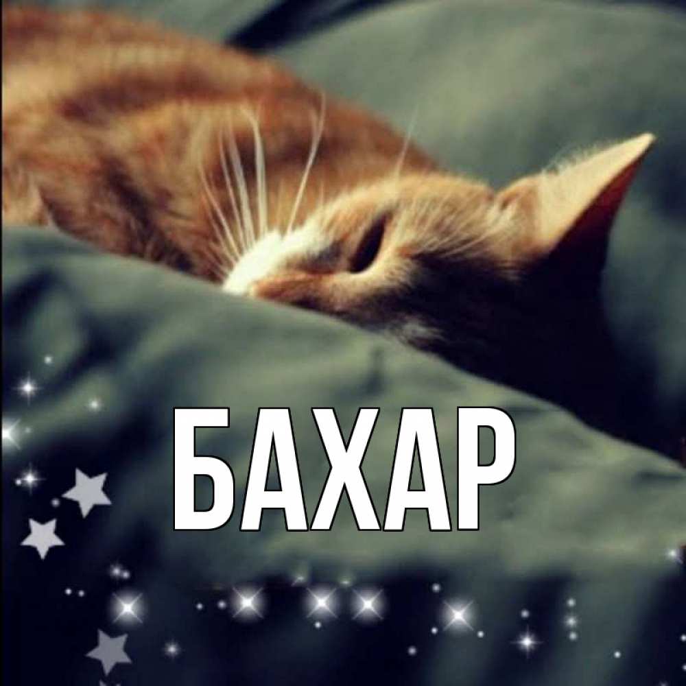 Открытка на каждый день с именем, Бахар Главная кроватка Прикольная открытка с пожеланием онлайн скачать бесплатно 