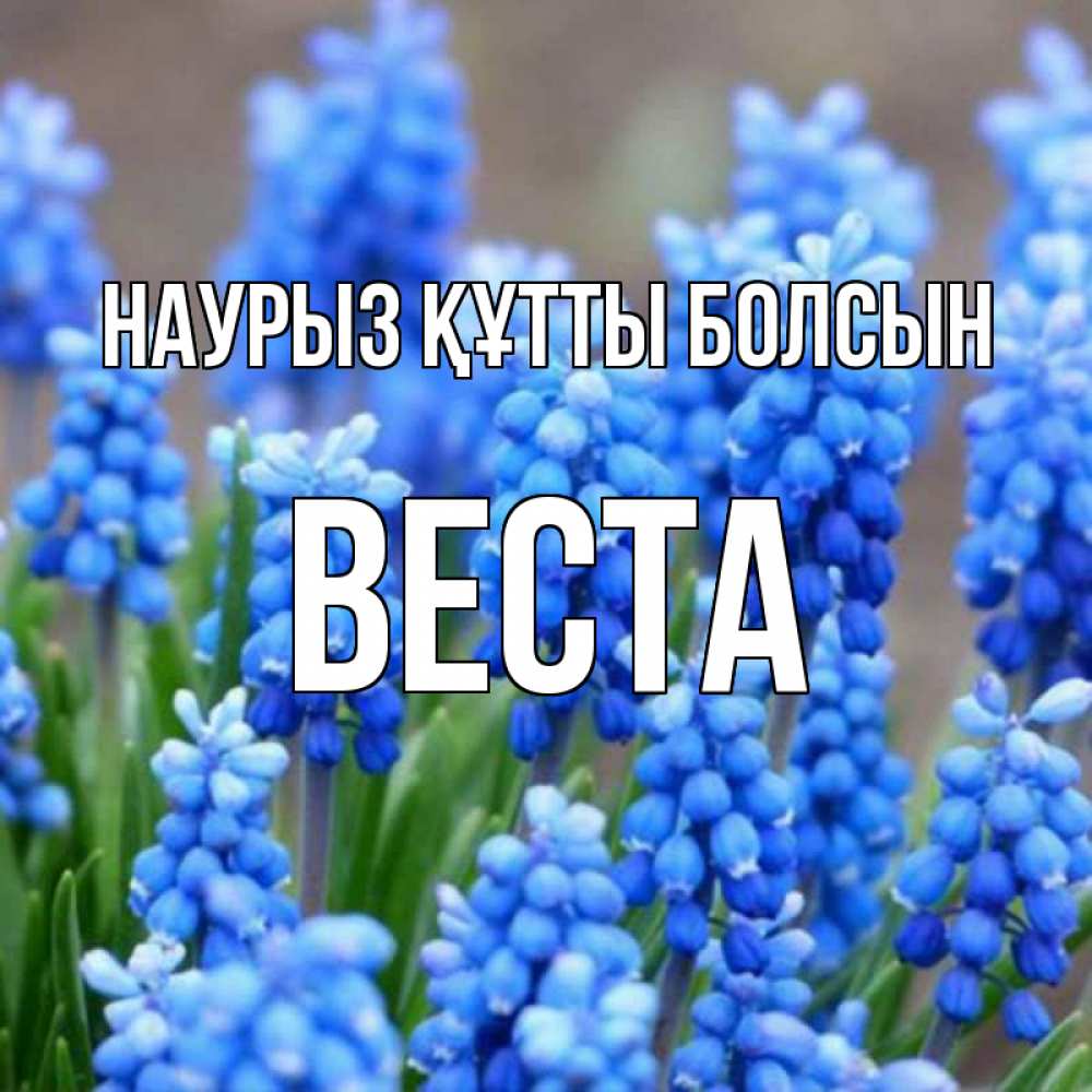 Открытка на каждый день с именем, Веста Наурыз құтты болсын Поздравительная открытка для женщин с цветами на праздничную дату Прикольная открытка с пожеланием онлайн скачать бесплатно 