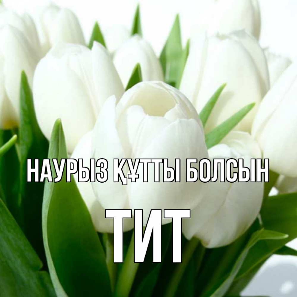 Открытка на каждый день с именем, Тит Наурыз құтты болсын цветы Прикольная открытка с пожеланием онлайн скачать бесплатно 