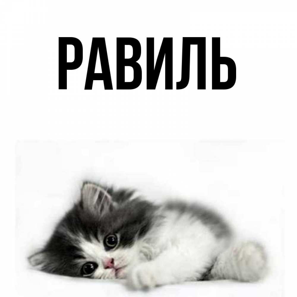 Анимация, открытки равиль