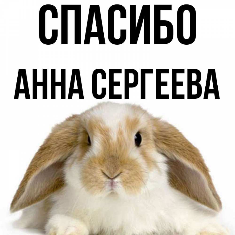 Спасибо анечка картинки