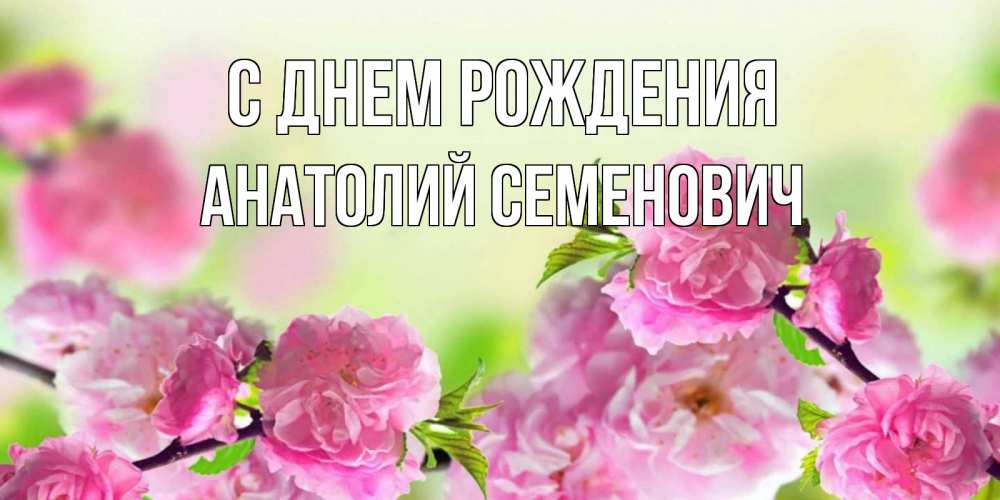 Открытка на каждый день с именем, Анатолий-Семенович С днем рождения веточки с цветками Прикольная открытка с пожеланием онлайн скачать бесплатно 