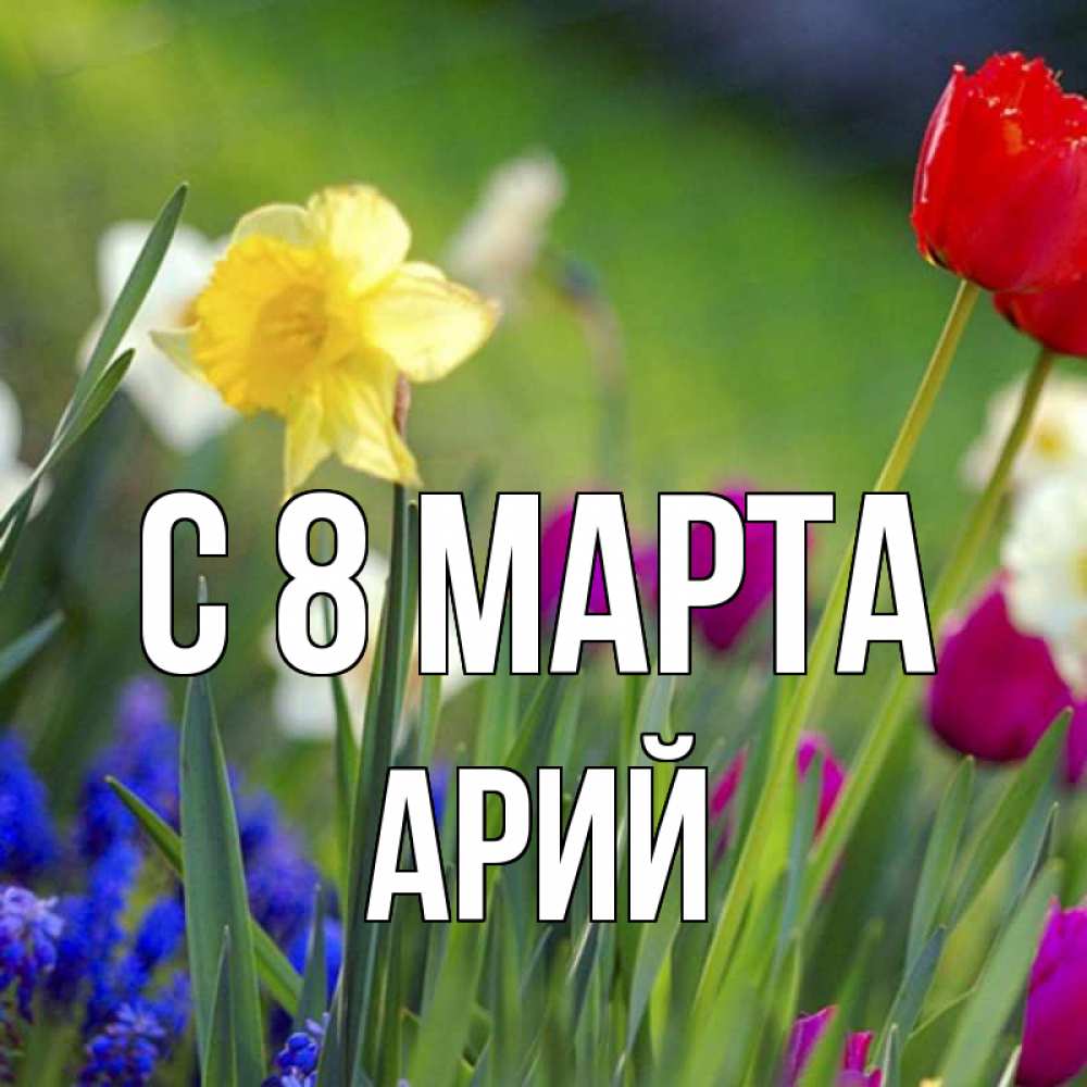 Открытка на каждый день с именем, Арий С 8 марта международный женский день 3 Прикольная открытка с пожеланием онлайн скачать бесплатно 