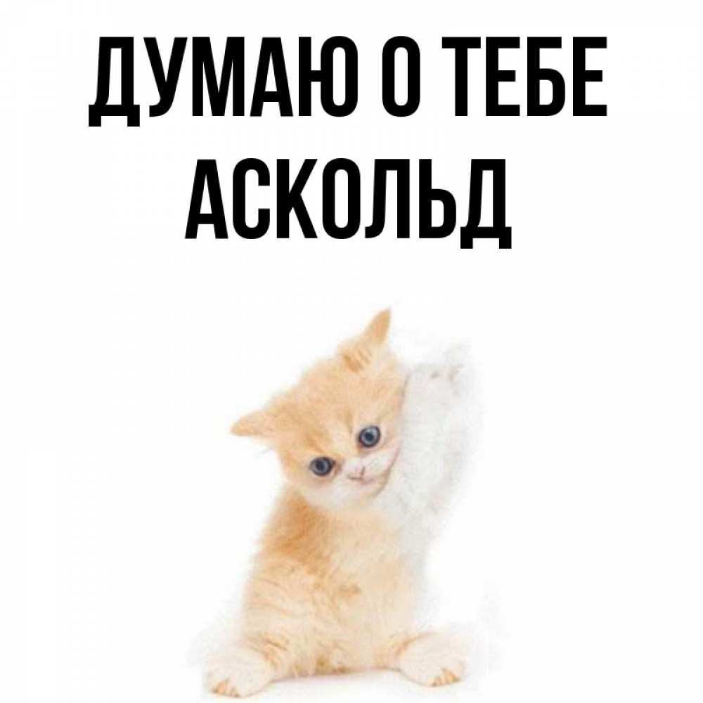 Открытка на каждый день с именем, Аскольд Думаю о тебе зверушки и милота Прикольная открытка с пожеланием онлайн скачать бесплатно 