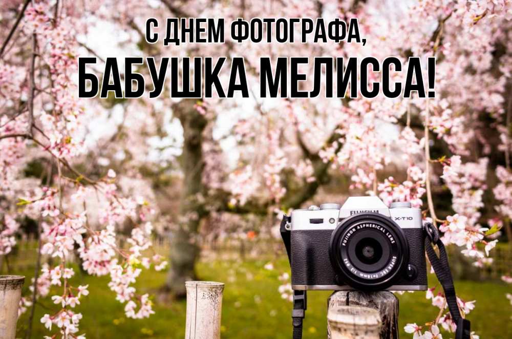 Открытка на каждый день с именем, Бабушка-Мелисса С днем фотографа сирень с днем фотографа, фотоаппарат Прикольная открытка с пожеланием онлайн скачать бесплатно 