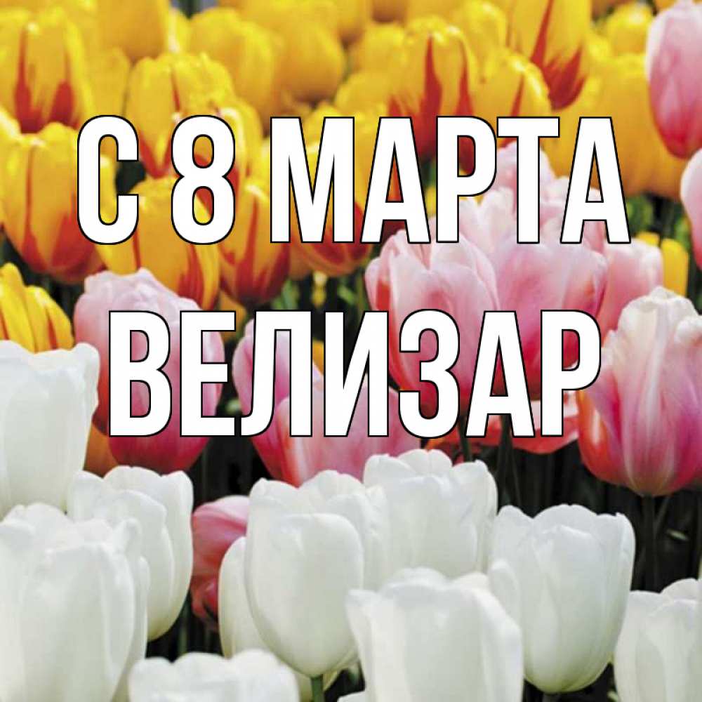 Открытка на каждый день с именем, Велизар С 8 МАРТА разноцветные цветы Прикольная открытка с пожеланием онлайн скачать бесплатно 